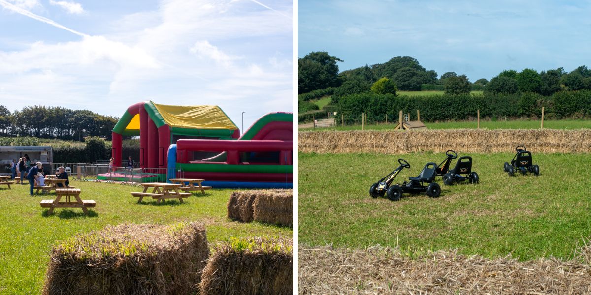 South Devon Maize Maze